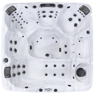 Avalon EC-867L hot tubs for sale in Santacruz