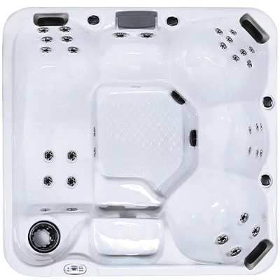 Hawaiian Plus PPZ-634L hot tubs for sale in Santacruz